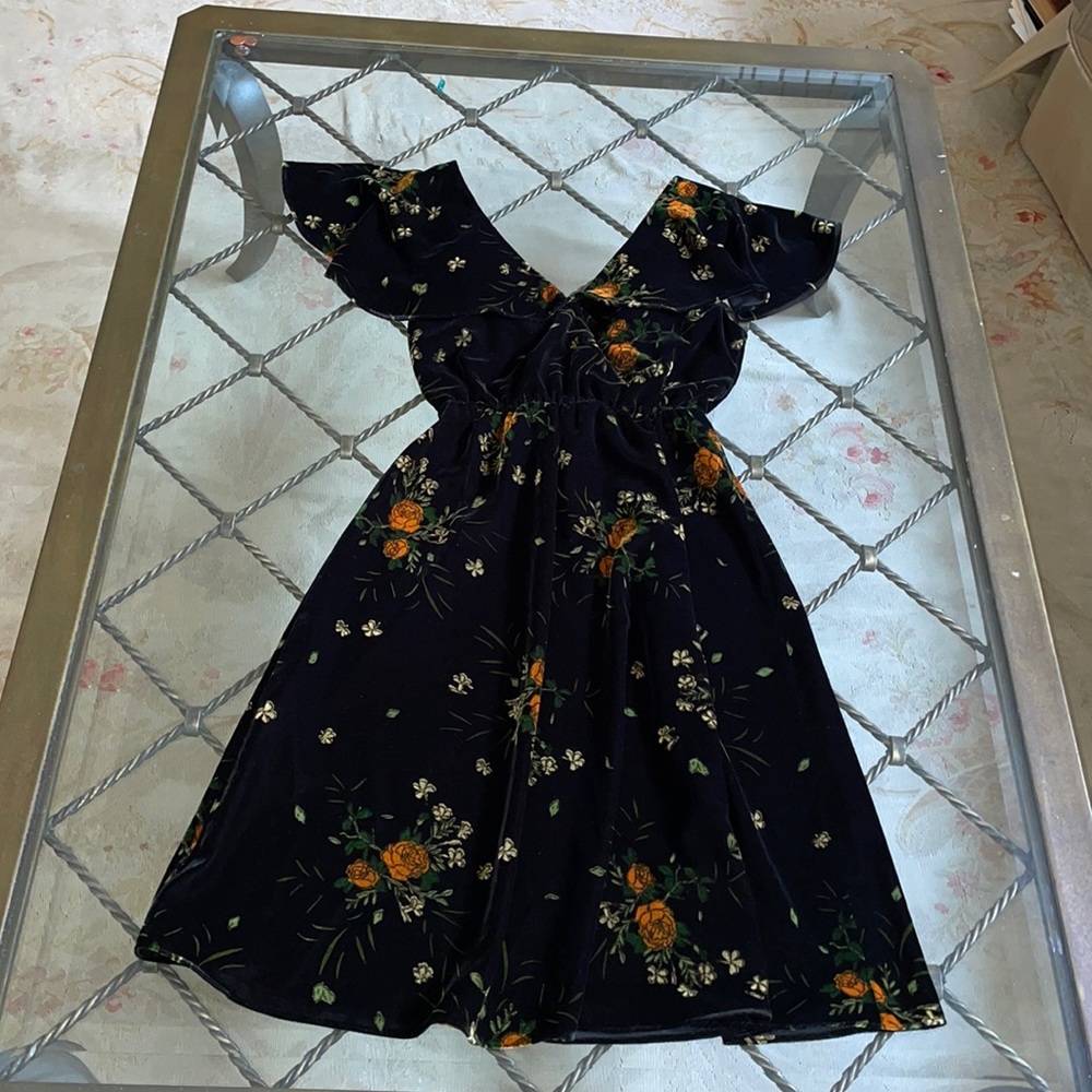 Zara vintage floral printed velvet dress - Picture 1 of 5